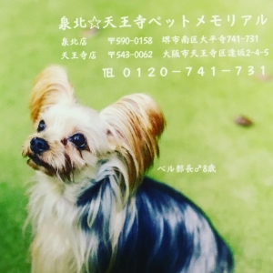 Instagramからの投稿